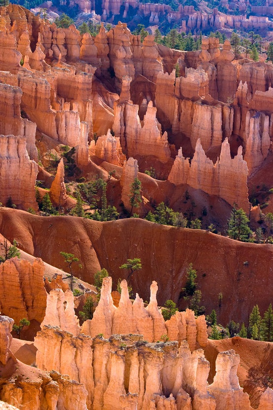 Photo:  Cool Shot of the Hoodoos in Bryce Canyon